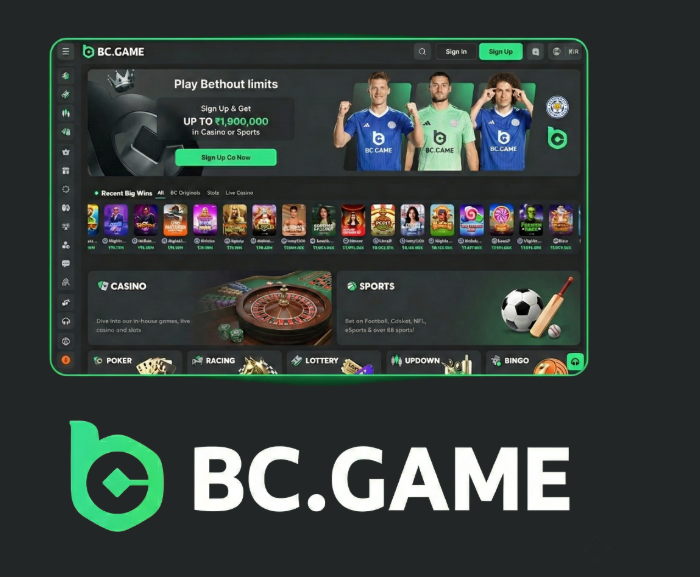 How to Register on BC.Game Mirror A Comprehensive Guide 1815898396